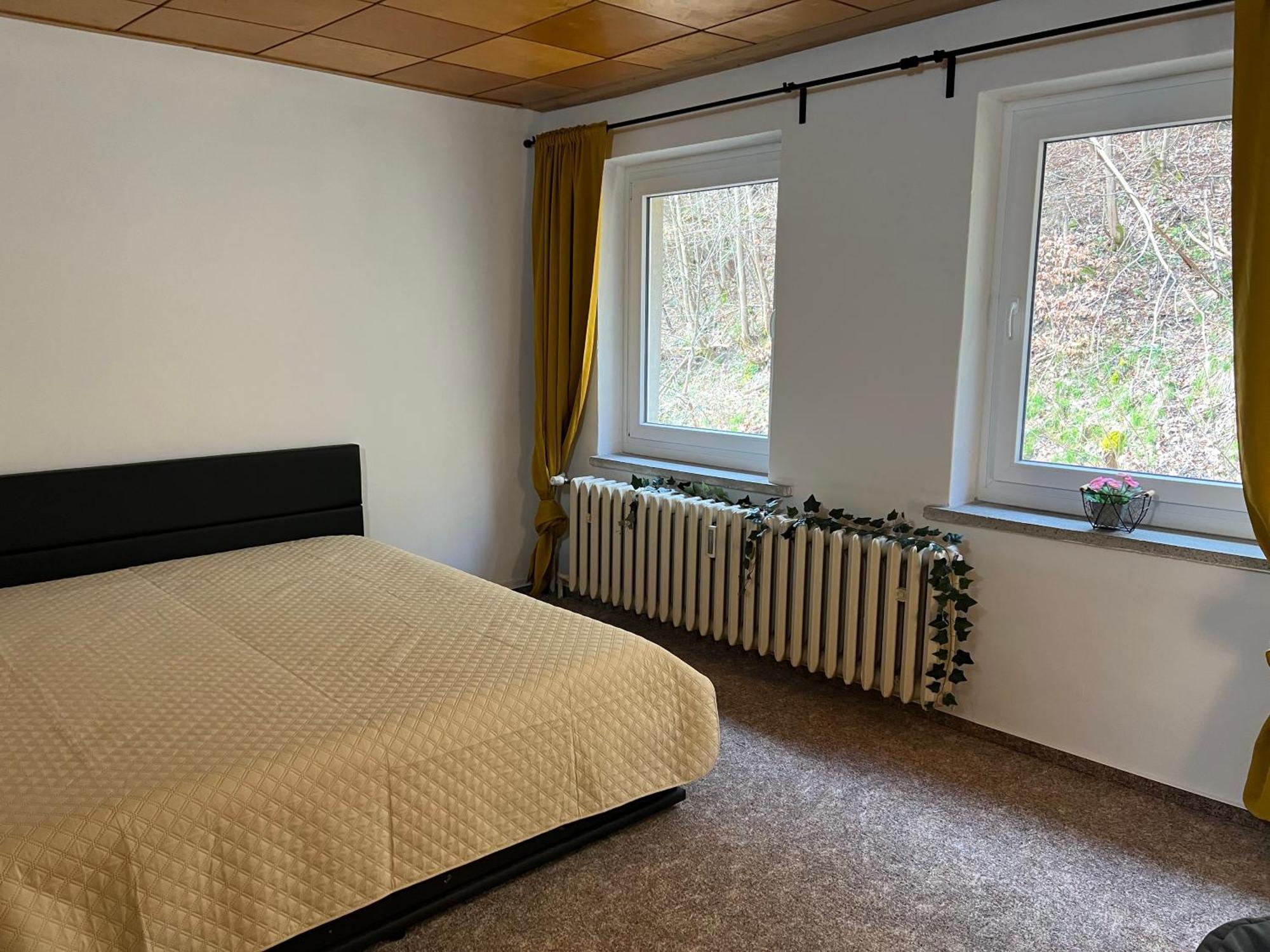 Pension Sternschnuppe, Treseburg Harz, Unmittelbar Am Wasser Thale Dış mekan fotoğraf