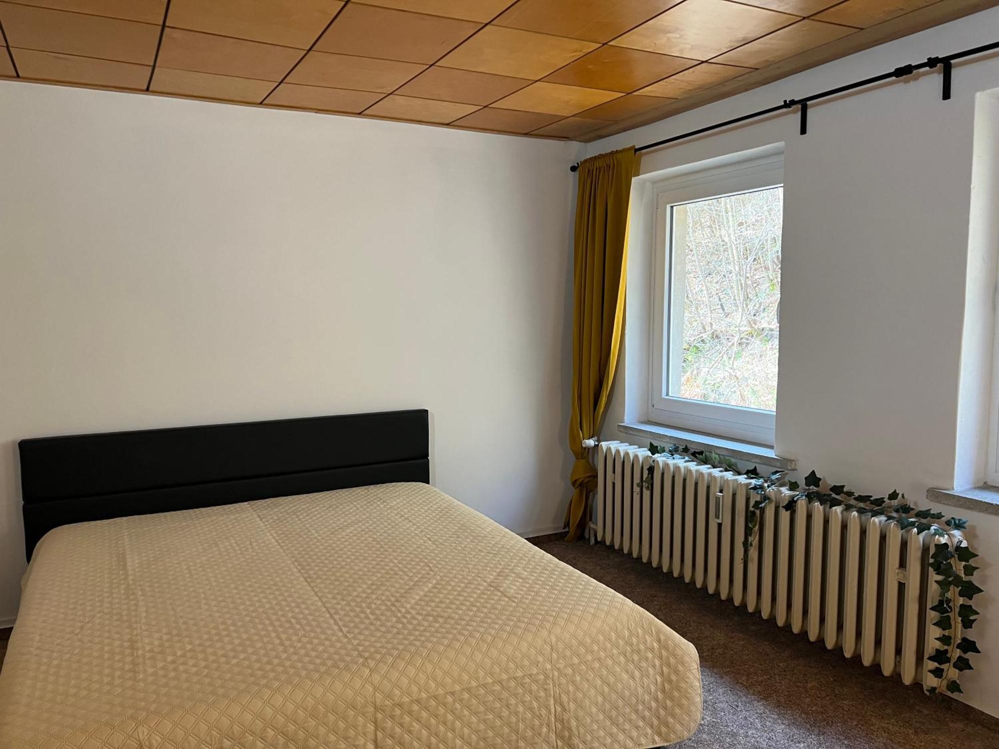 Pension Sternschnuppe, Treseburg Harz, Unmittelbar Am Wasser Thale Dış mekan fotoğraf